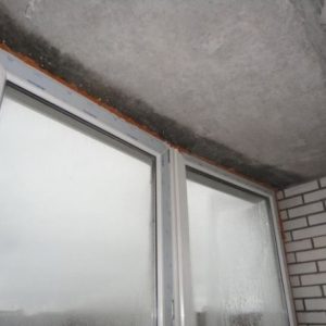 Почему появляется грибок на потолке и как от него избавиться.