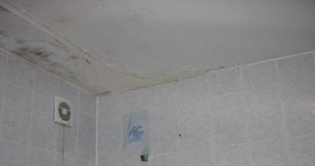 Как правильно отремонтировать потолок в санузле
