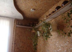 Применение пробкового покрытия для шумоизоляции потолка в квартире