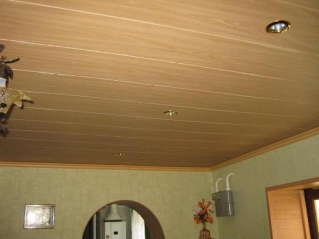 Hатяжной потолок или потолок из ПВХ панели. Что выбрать?