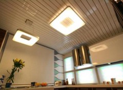 Применение панельных потолков на кухне