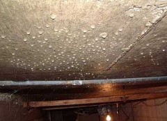 Как устранить конденсат на потолке в подвале?