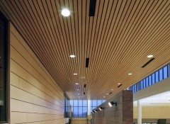 Виды и примеры деревянных потолков в офисе