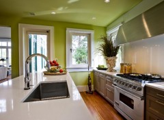 Преимущества и особенности применения на кухне зеленых натяжных потолков