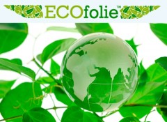 Особенности и характеристики натяжных потолков ecofolie