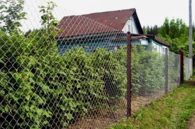 Сделать забор на даче своими руками (72 фото)
