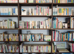 Книжные шкафы и библиотеки для дома: как выбрать и разместить правильно?