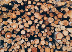 Какие дрова лучше для отопления дома?