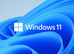 Windows 11 Home vs Pro: Какая версия подойдёт вам