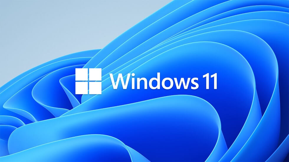 Windows 11 Home vs Pro: Какая версия подойдёт вам
