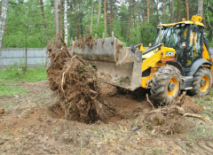 Расчистка участка в Харькове: особенности и виды